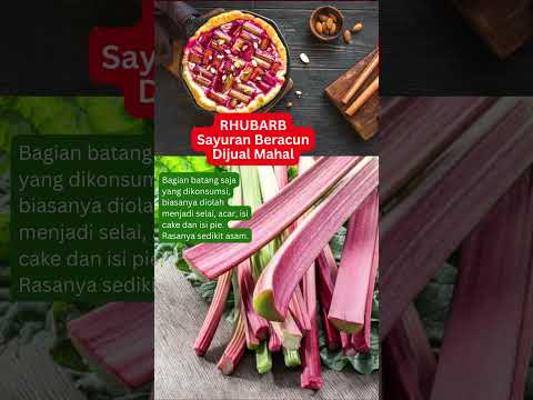 Video: Apakah rhubarb mengandung serat?