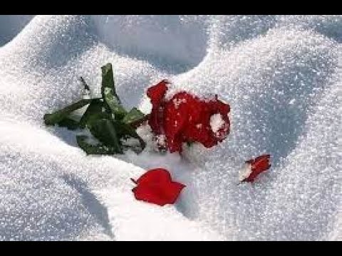 \" დ ა ზ ა მ თ რ დ ი \"    მაია სიჭინავა /Author songs maia sitchinava