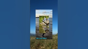 HELP ME CELEBRATE 1000 DAY RUN STREAK 🔥 #running