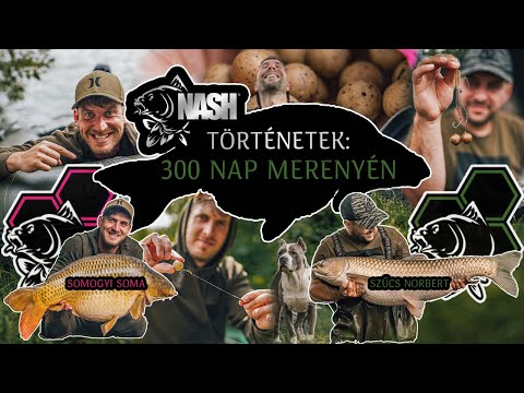 300 NAP MERENYÉN🤯🔥 - NASH TÖRTÉNETEK III. Rész