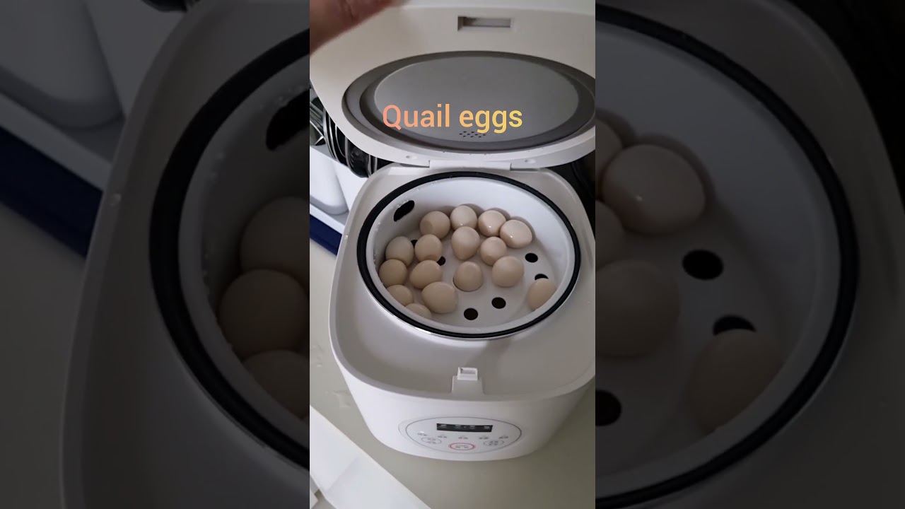 Lock&Lock rice cooker 2L 