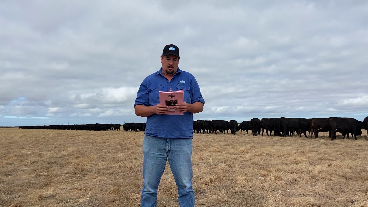 Stoney Point Interview with Nutrien Livestock