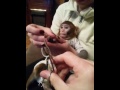 обезьянка делает маникюр
