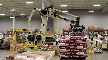 Nachi LP130F Robot: Effortless Palletizing of Heavy Feed Bags