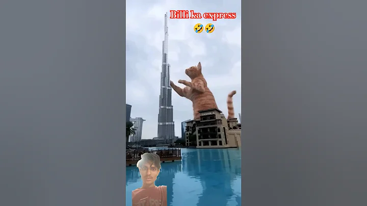 Watch the video about #funny #pinkcat #burjkhalifa #comedy #song #dance #ytshorts #sbvfx #sphynx #catdance #viralvideo