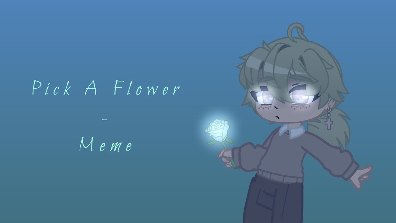 Pick A Flower Meme // GC Meme // Read Description • YouTube