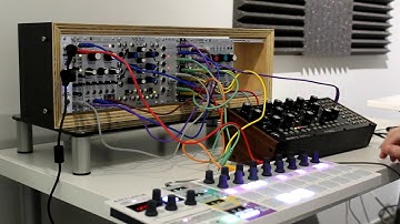 Eurorack Ambient | "Lazy Samurai" - Moog Mother 32, Mutable Instruments Rings & Clouds, Pico Drums