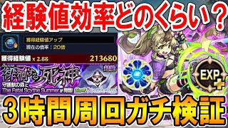 【最強ランク上げ】SAO夏αコラボ経験値20倍を3時間周回して検証！ノマクエとの比較も！《守護獣超絶4手》【モンスト/しゅんぴぃ】