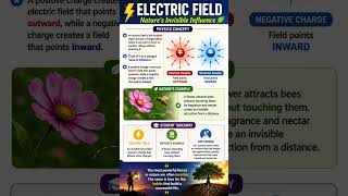 Electric Field Explained — Nature's Invisible Influence ⚡ | Class 12 Physics