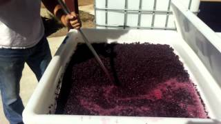20151002 3 Steves Winery