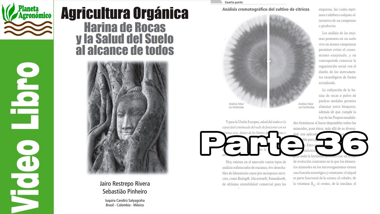 📚 Agricultura Orgánica, Harina de rocas y la salud del suelo al alcance de todos - Jairo - Parte 36