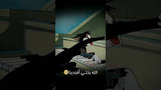 بل عربي جيب الماي