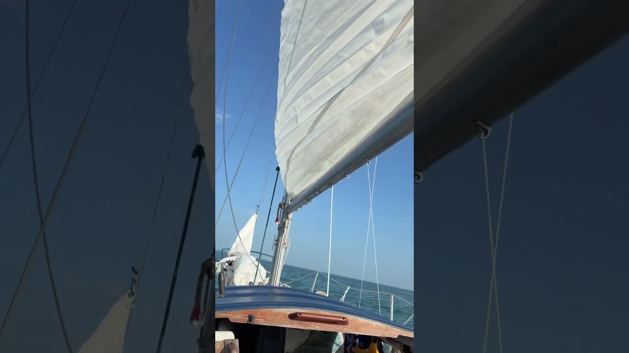 ⁣Summer 2026 sailboat racing & mast stepping