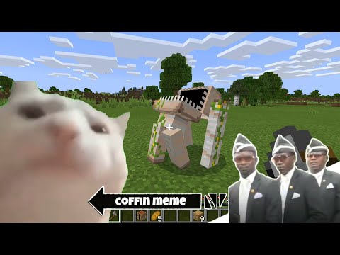 Coffin Meme लेकिन Cat is Vibing - Minecraft