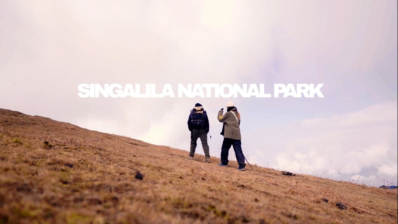 Sandakphu phalut Last Day Trek:Adventure from Thokum to AAL"