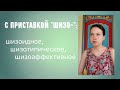 Шизотипическое / Шизоидное / Шизоаффективное