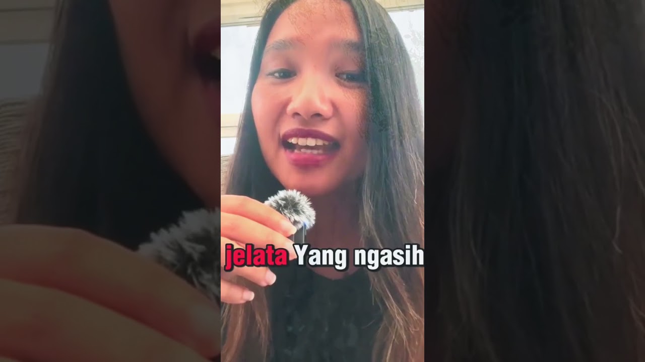 sindir pdi perjuangan