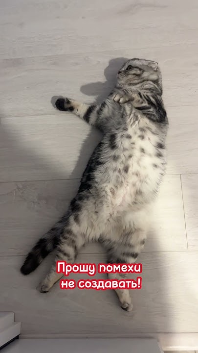 На волне - YouTube