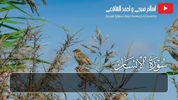 سورة الإنسان القارئ شريف مصطفى Surah Al Ensan #منوعات_نور_المصطفى