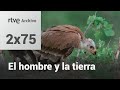 El hombre y la tierra: Capítulo 92 - El águila Imperial II | RTVE Archivo