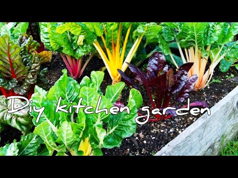 HOW TO MAKE A KITCHEN GARDEN IN KENYA||KENYA YOUTUBERS/ORGANIC FARMING