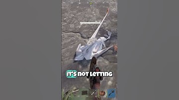 This Chicken Bugged Through the Fabric of Reality on Rust #rust #rustshorts