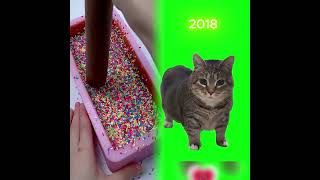 Iconic Kitty Memes Through Time 🐱✨