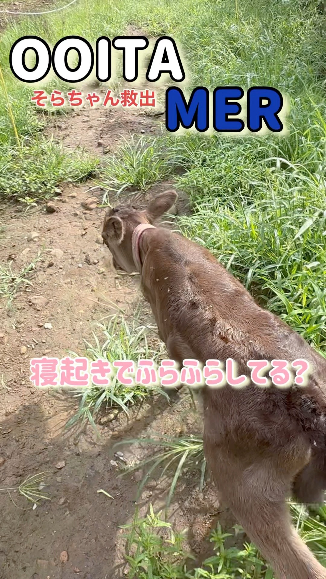 「ひろちゃん」 ひろちゃん on X: 
