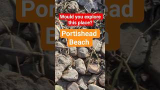 #Portishead Beach Has NO Sand ⛱️ Grass, Rocks & #fossils #2026