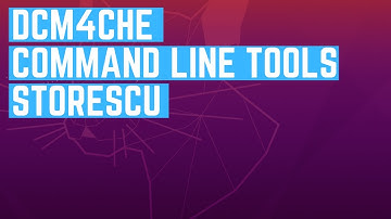 How to Use dcm4che Command Line Tools - Send DICOM files