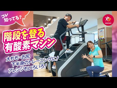 室内トレーニング　エクササイズ 楽天市場】【6%OFFクーポン】エクササイズポール ストレッチ用