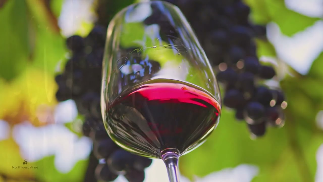 Boutique Wines Delivered