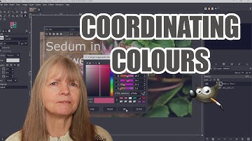 Adding a Custom Colour to Text in GIMP: Tutorial