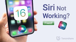 Siri Not Working on iOS 16? iOS 16 Won't Mute Siri Spoken Responses? Fixes & Explanations Here!