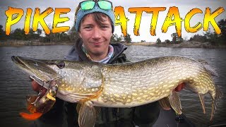 BRUTAL PIKE ATTACKS in SHALLOW WATER | Team Galant