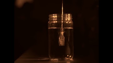 Mirificus Biologicus Ludus