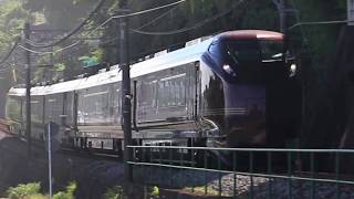 E655系なごみ「和」 8月5日 東伊豆町にて撮影 伊豆急行線