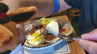 #wow #now eevee eats free birthday breakfast at black bear diner 
