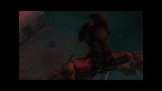 RESIDENT EVIL CODE:Veronica X Alexia Final Form