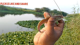 Single small hook float fishing|| in Lake running water|| amazing fishing video