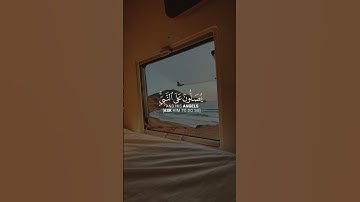 إن الله وملائكته يصلون على النبي سورة الأحزاب قارئ محمد أيوب#viral #youtube#تلاوات #فلسطين#quran