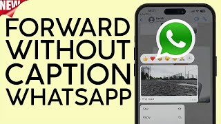 How To Forward Photos & Video Without Caption On Whatsapp New Whatsapp Update 2023