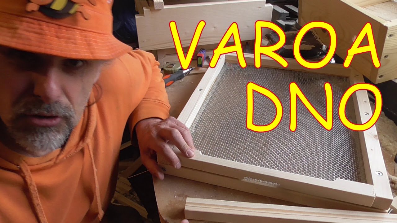 Varoa dno nízké jednoduché levné