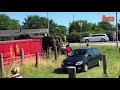 when circus animals attack compilation part 2