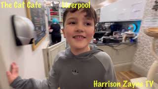 Harrison visits Cat Cafe Liverpool