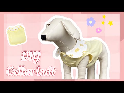 Cute dog collar 💛 How to make a tank top video - YouTube
