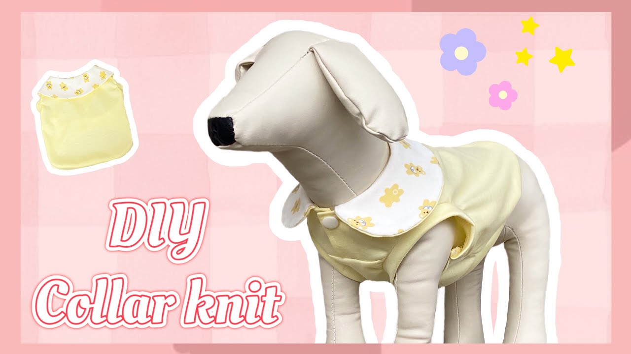 Cute dog collar 💛 How to make a tank top video - YouTube