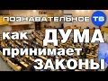 Как Дума принимает законы (Познавательное ТВ, Евгений Фёдоров)