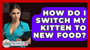 How Do I Switch My Kitten To New Food? - Ask A Pet Vet