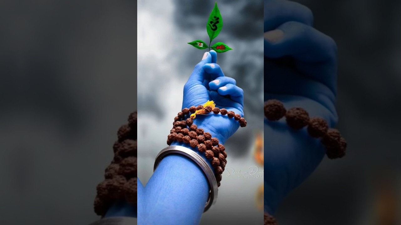 Httpsyoutube3Y1kJhVoOpAsipolsCYjQSh3kfU4v - YouTube Auto PHP Script